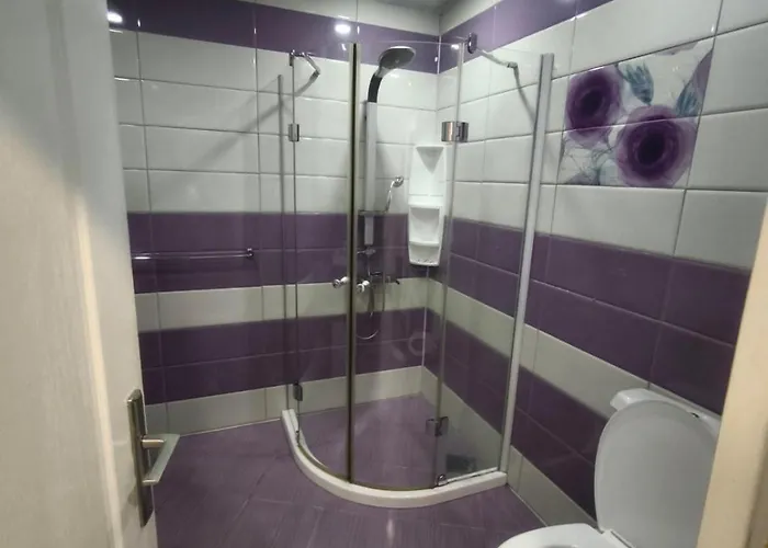 александрови