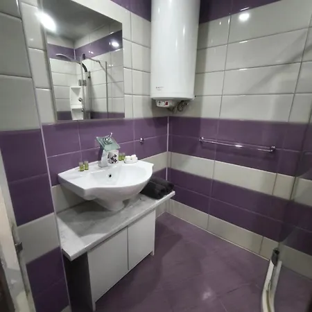 александрови * 帕莫瑞